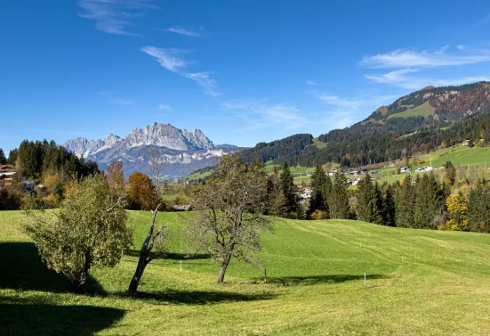 KAISERBLICK