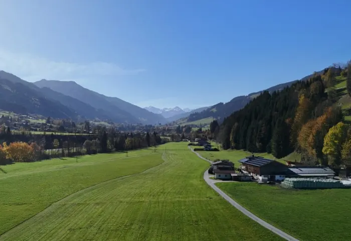 AUSBLICK