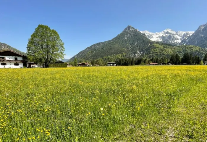 STEINBERGE
