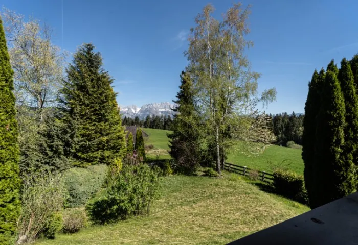 BALKONBLICK